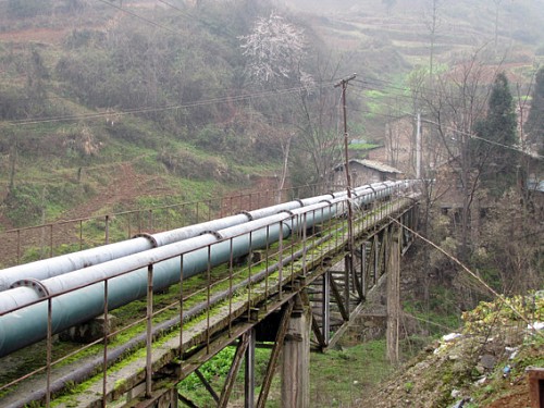 �F��ĳ����